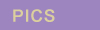 PICBUTTON